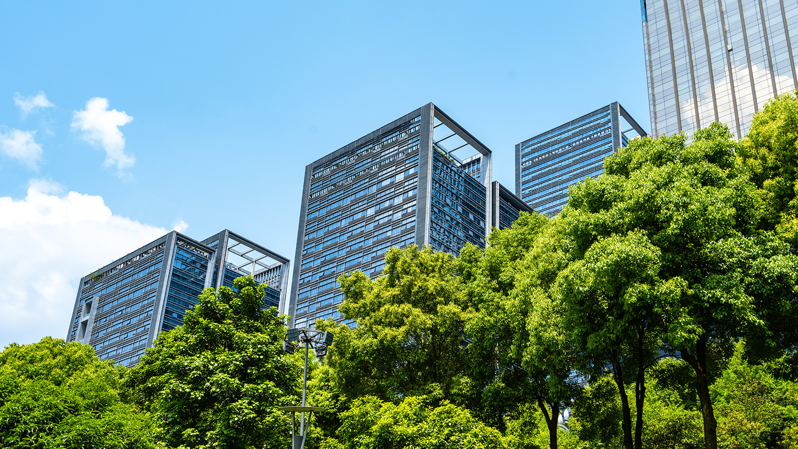 会社概要